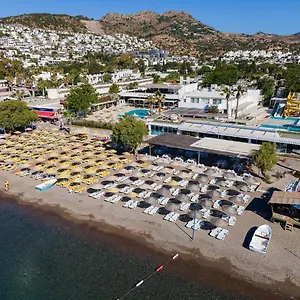 Petunya 4*, Ortakent Turquie